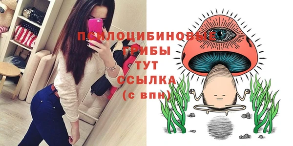 хмурый Балабаново