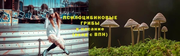 хмурый Балабаново