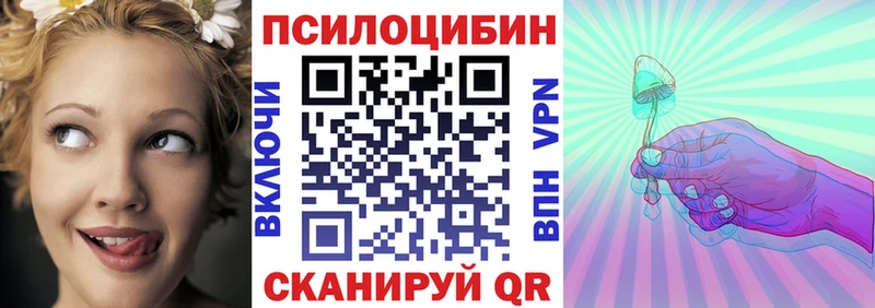 магазин продажи наркотиков  Волжск  кракен вход  Галлюциногенные грибы Psilocybe 
